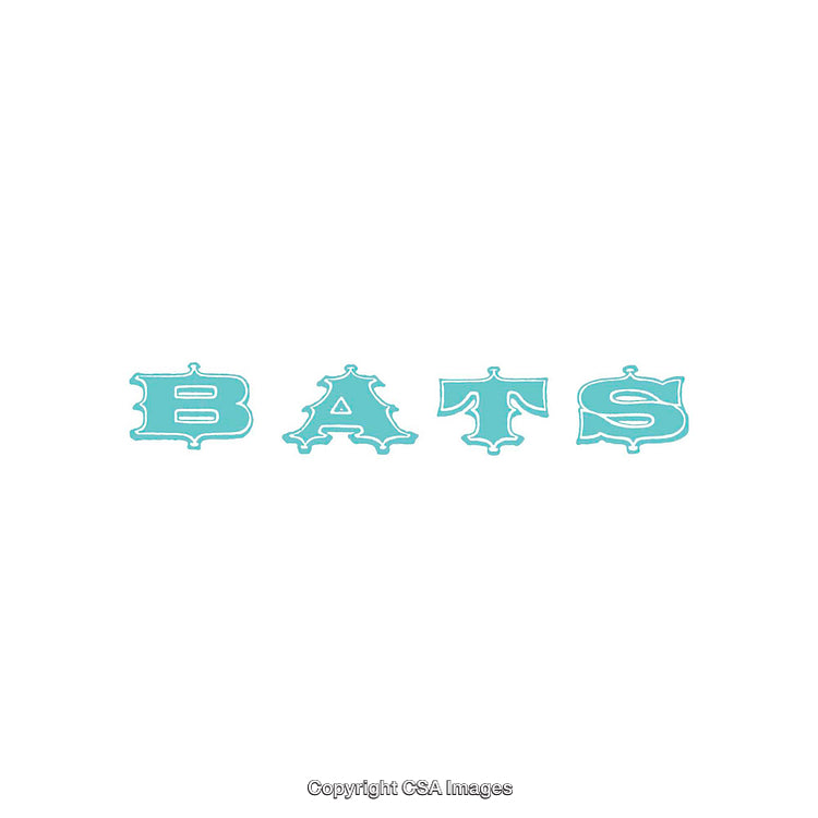 Stylish Blue Decorative Font Showing the Word Bats on White Background
