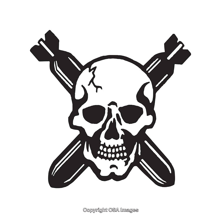 Skull and Crossbones with a Modern Design Twist Symbolizing Danger
