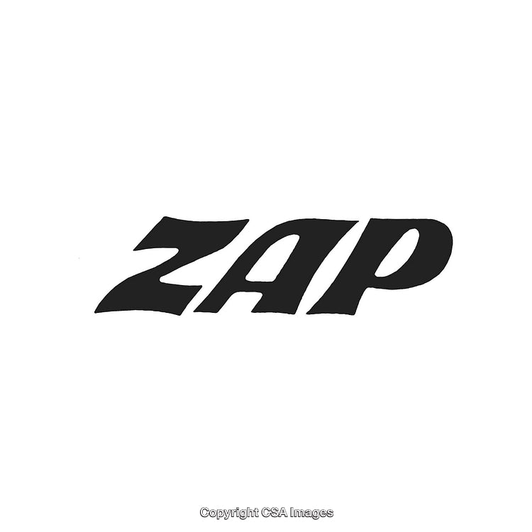 Stylized Black Text Graphic Logo Displaying the Word 'Zap' on White Background