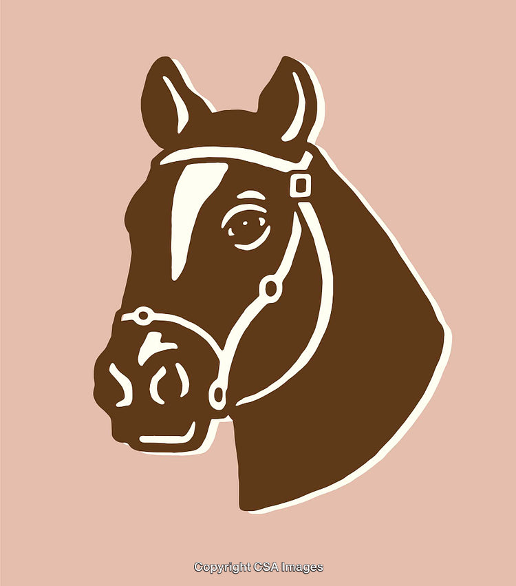 Stylized Brown Horse Illustration on Pastel Background in Line Art Style