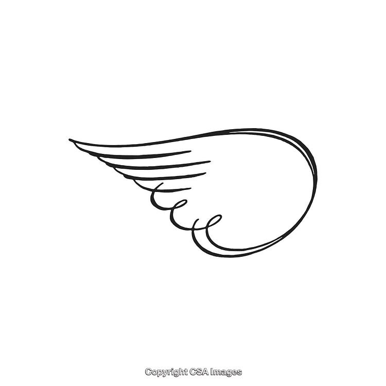 Simple Black and White Wing Icon with Curved Details