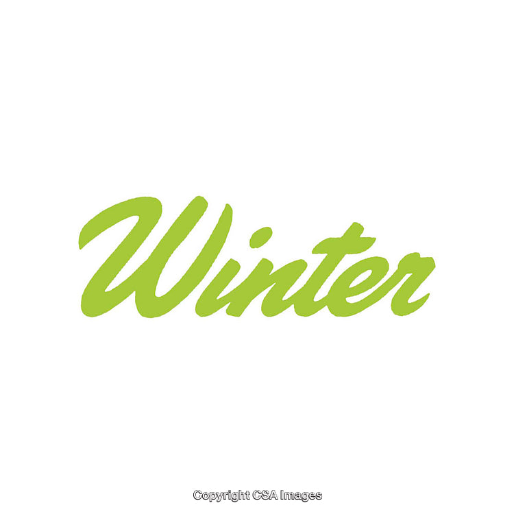 Green Cursive Winter Typography Design on White Background