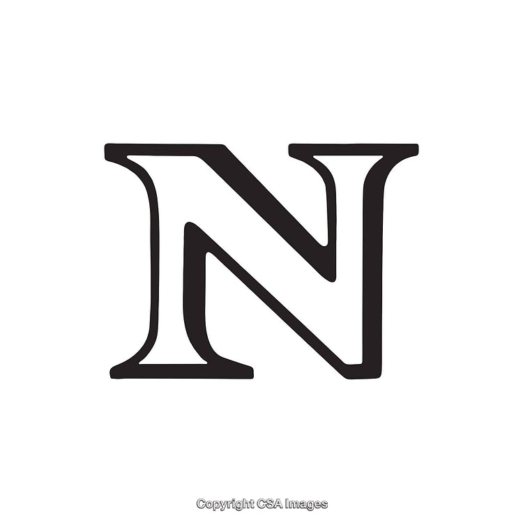 Elegant Black Letter 'N' in Bold Serif Font on White Background