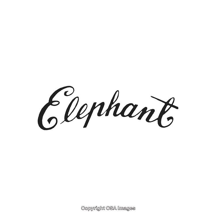 Elegant Calligraphy Text Featuring the Word Elephant on a White Background