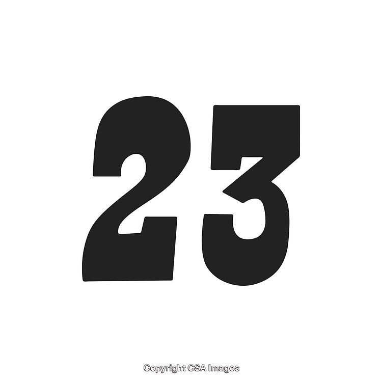 Black Number 23 in Bold on a White Background