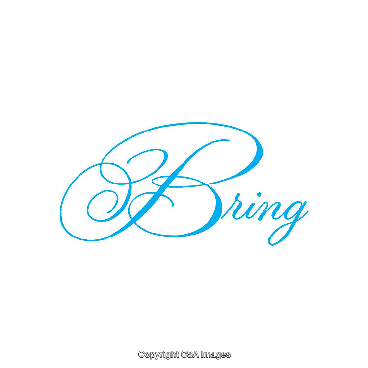 Elegant Blue Script Typography on a White Background
