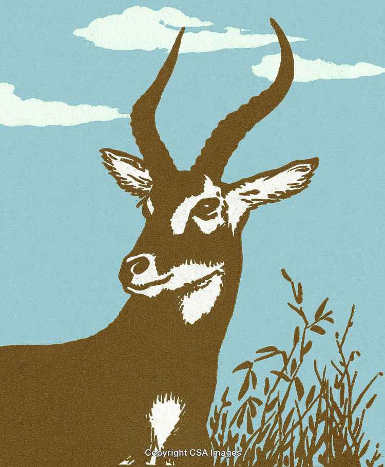 Stylized Illustration of Antelope in a Natural Grassland Setting