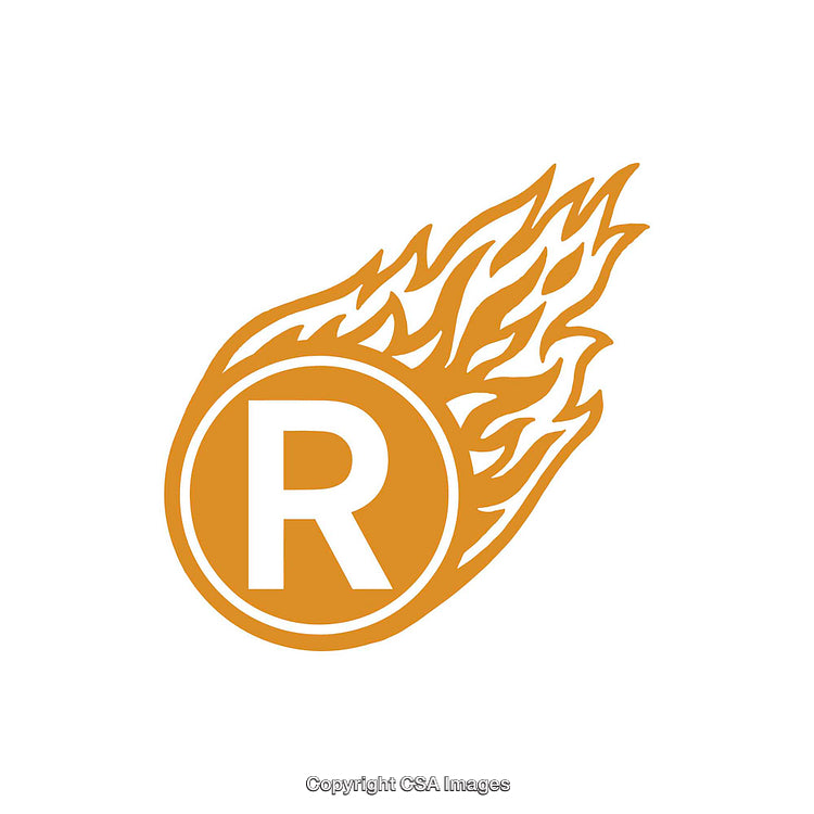 Circular Emblem with Flaming Design Featuring Letter R Symbol