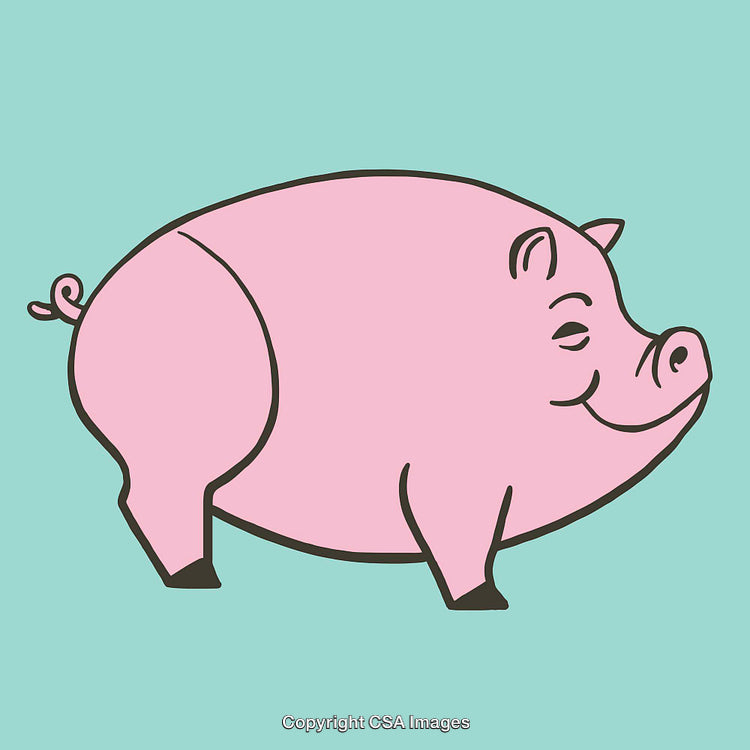 Cute Illustration of a Happy Pink Pig on Light Blue Background
