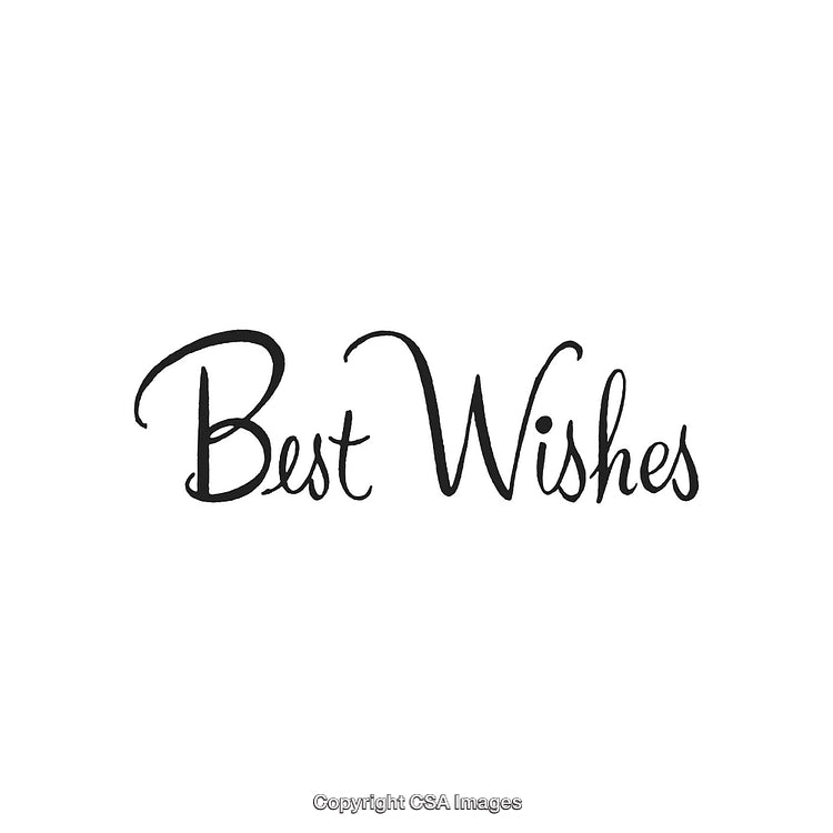Elegant Script Text with Phrase 'Best Wishes' on a White Background