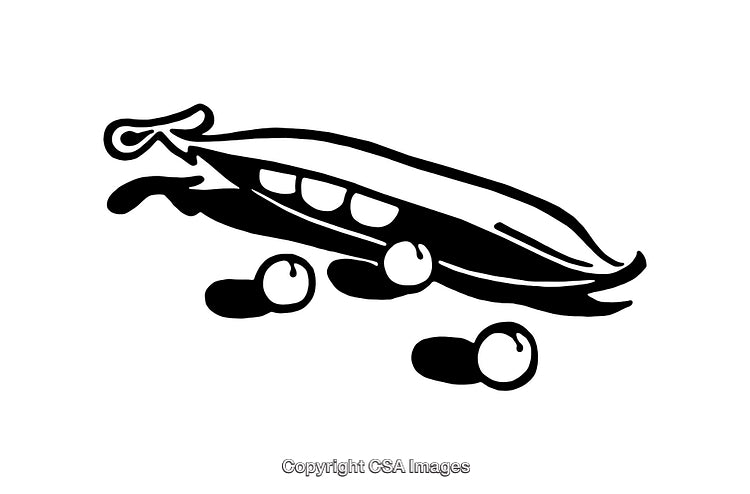Black and White Line Art Illustration of Peapod With Individual Peas