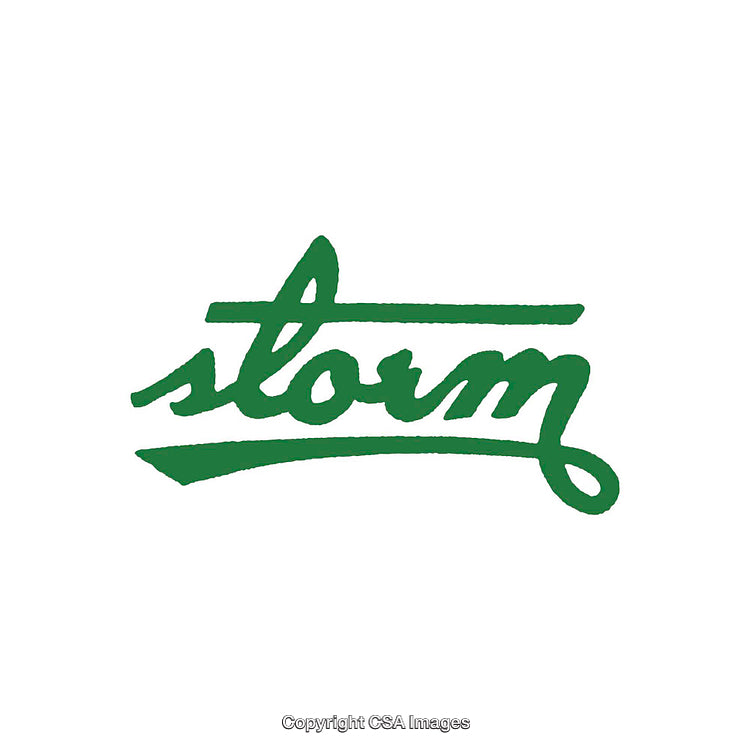 Stylized Green Calligraphy Logo Design Featuring the Word Storm