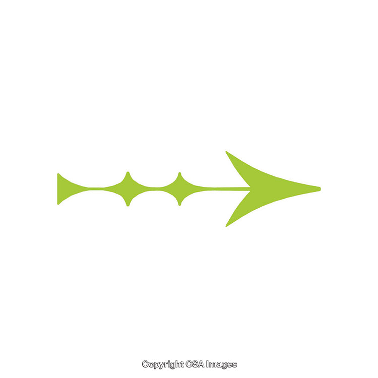 Green Decorative Arrow Symbol with Unique Abstract Design Features