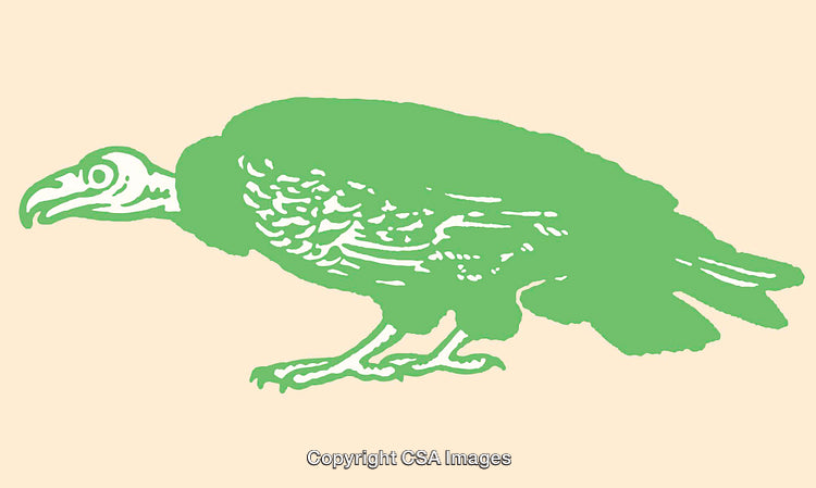 Green Vulture Illustration in a Unique Color Line Art Style