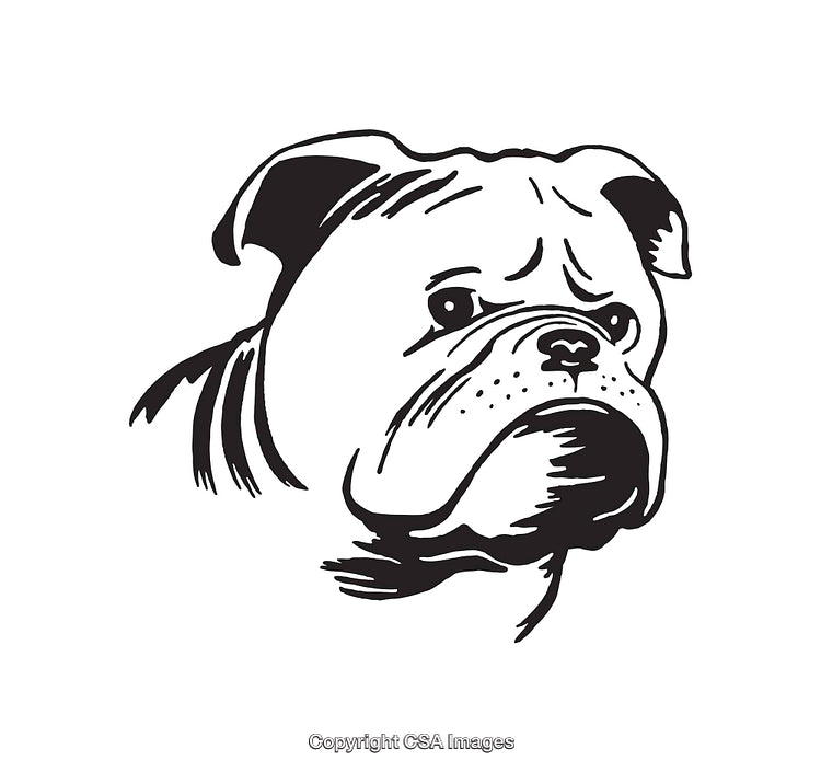 Close-Up Illustration of a Bulldog Face in Black and White Line Art