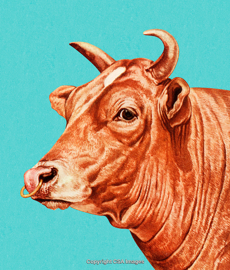 Vintage Illustration of a Brown Cow on a Bright Blue Background