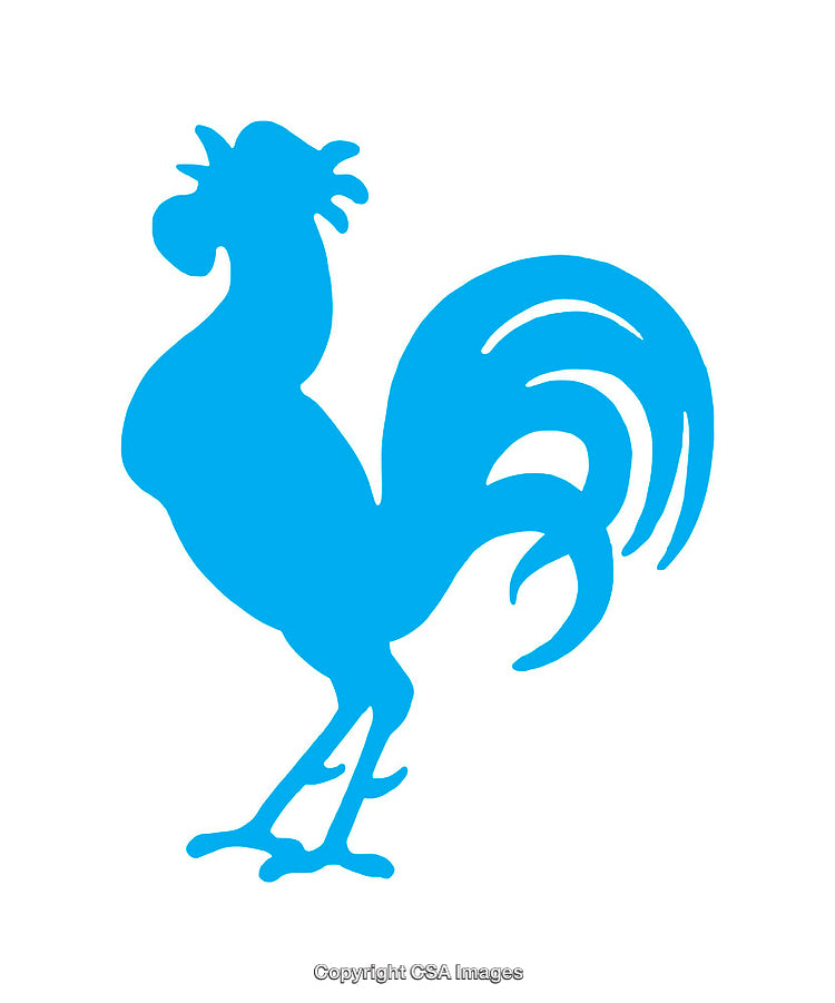 Silhouette of a Blue Rooster on a White Background