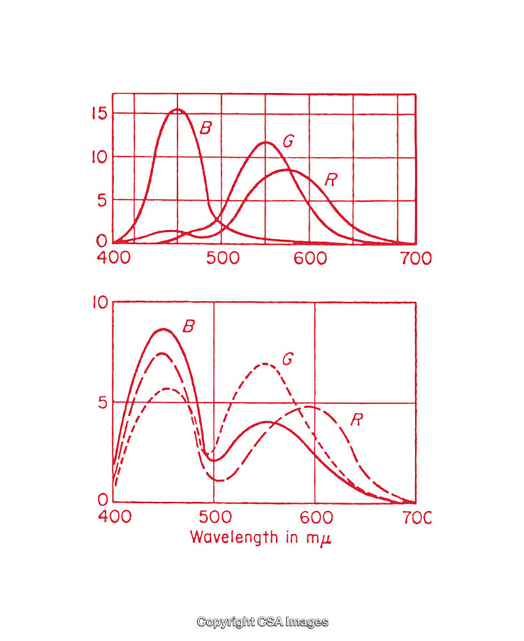Graphs Representing Spectral Data Distribution Over Wavelengths