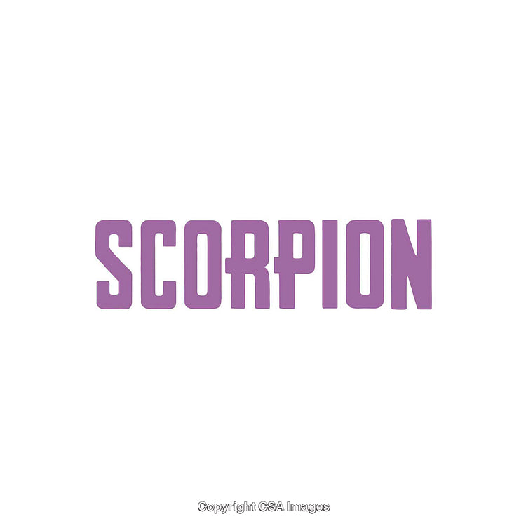 Minimalist Typography Design Featuring the Word 'Scorpion' in Bold Purple