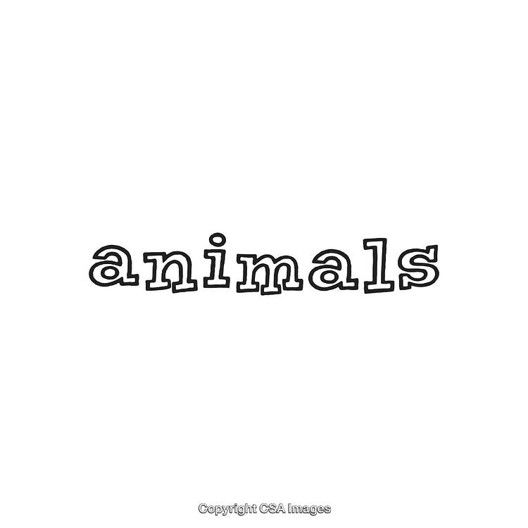 Playful Typeface Spelling Animals on White Background