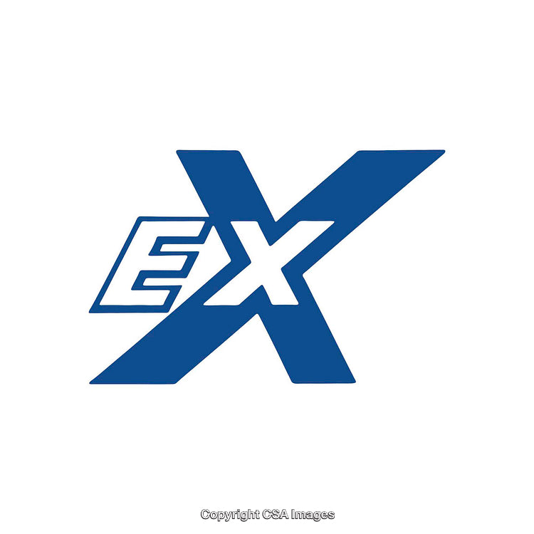 Styled Blue Icon Design Featuring Letters EX on White Background