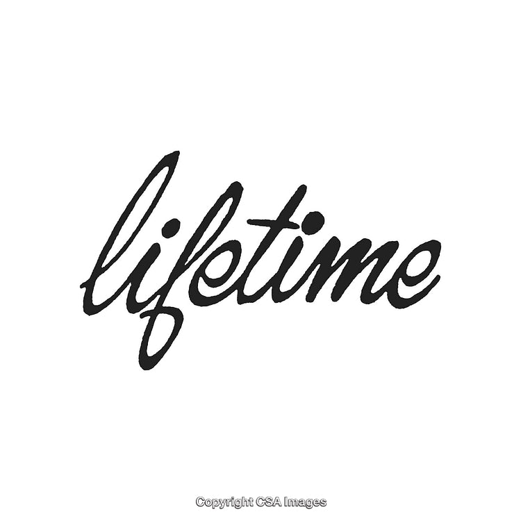 Stylized Handwritten Lifetime Text in Black on a White Background