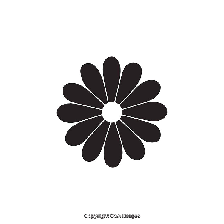 Abstract Black and White Flower Design with Petals Symmetrically Arranged