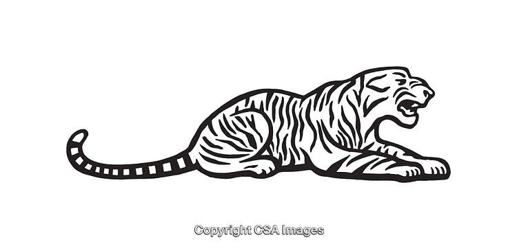 Black and White Line Drawing of a Tiger in a Resting Position