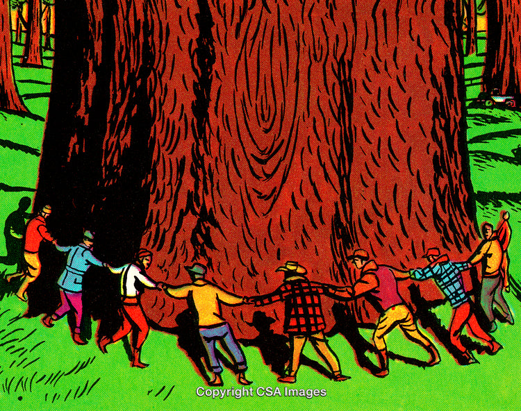 Group Hugging a Massive Forest Tree in Illustrated Style