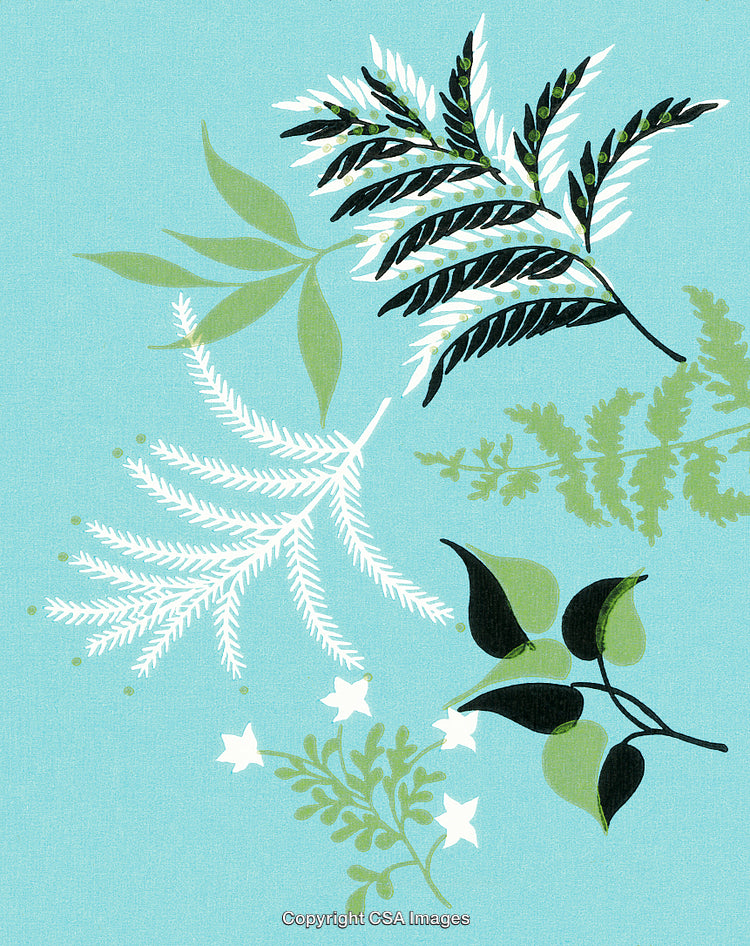 Minimalist Illustration of Leaves with a Modern Colorful Background