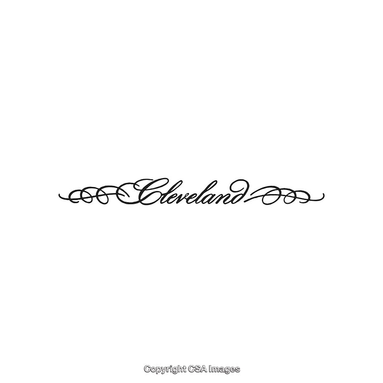 Elegant Calligraphy Text With Ornamental Doodles and Vintage Aesthetic Design