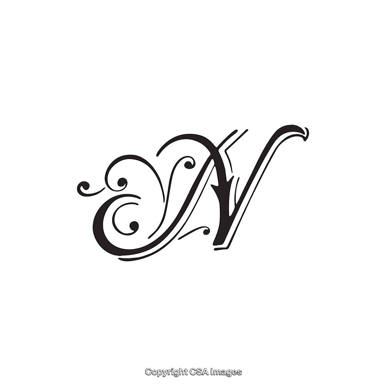 Elegant Monogram Letter N with Decorative Flourishes and Swirls