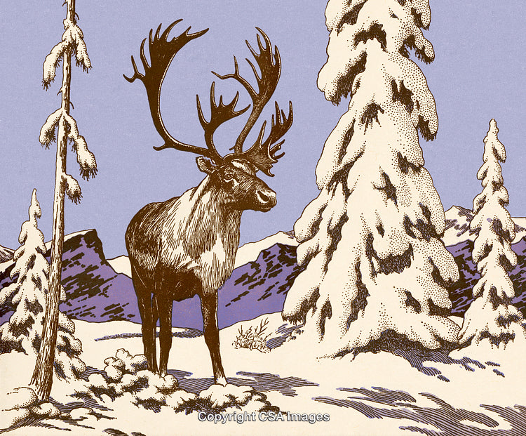 Majestic Reindeer in a Snowy Forest Amid Winter Landscape