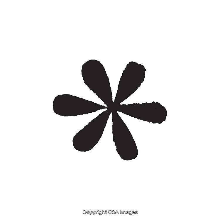 Minimalistic Black and White Starburst Dingbat on White Background