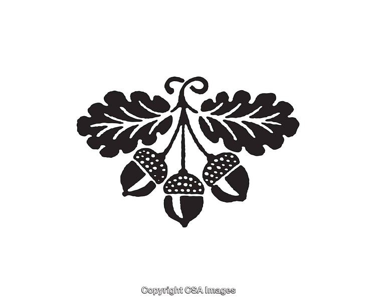 Black and White Line Art of Oak Leaves and Acorns in Nature Motif