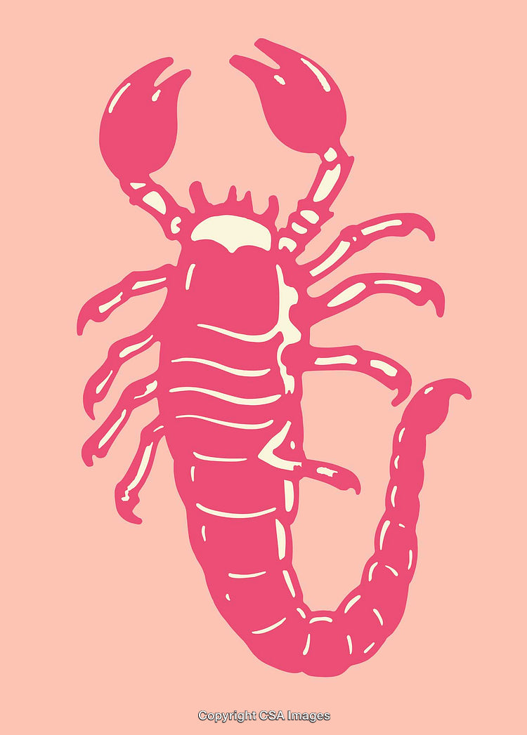Pink Scorpion Illustration on Pastel Background in Line Art Style