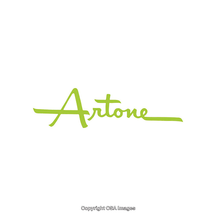 Minimalist Green Calligraphy Logo Design on White Background
