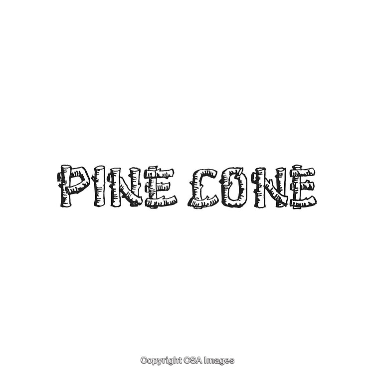 Rustic Pine Cone Themed Typography Design with Vintage Aesthetic