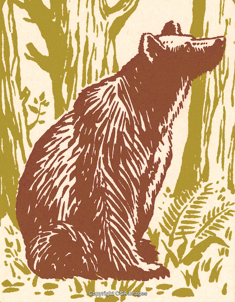 Illustrative Forest Scene Featuring a Brown Bear in Verdant Woodland