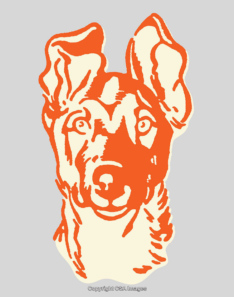 Colorful Line Art Illustration Featuring a German Shepherd Dog