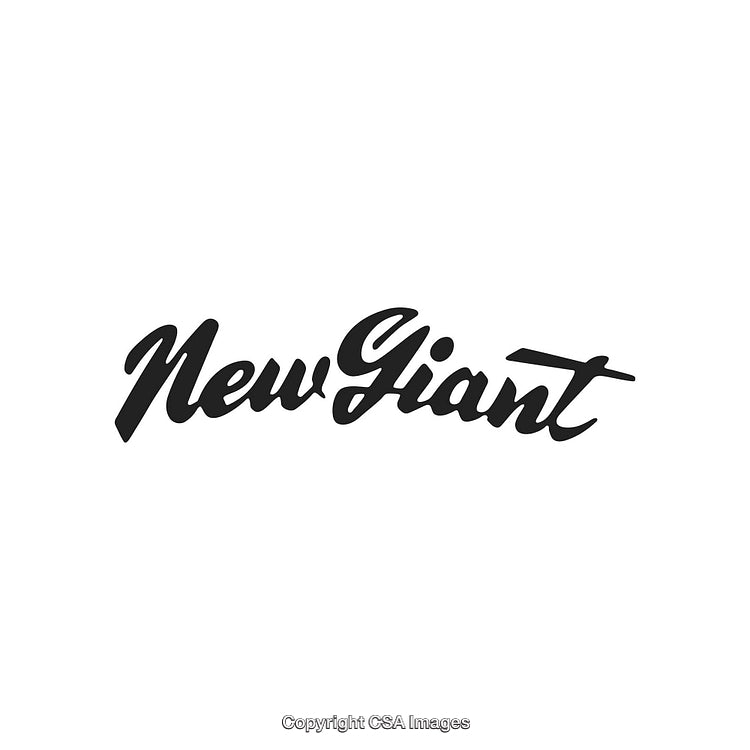 New Giant Brand Logo Featuring Classic Black Typeface on White Background