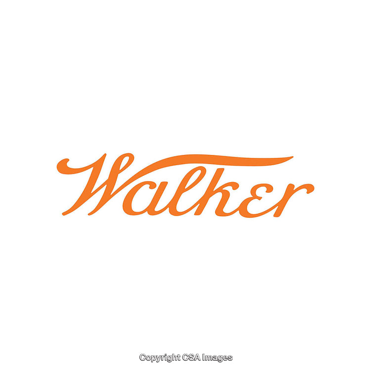 Elegant Orange Script Branding Typography on White Background