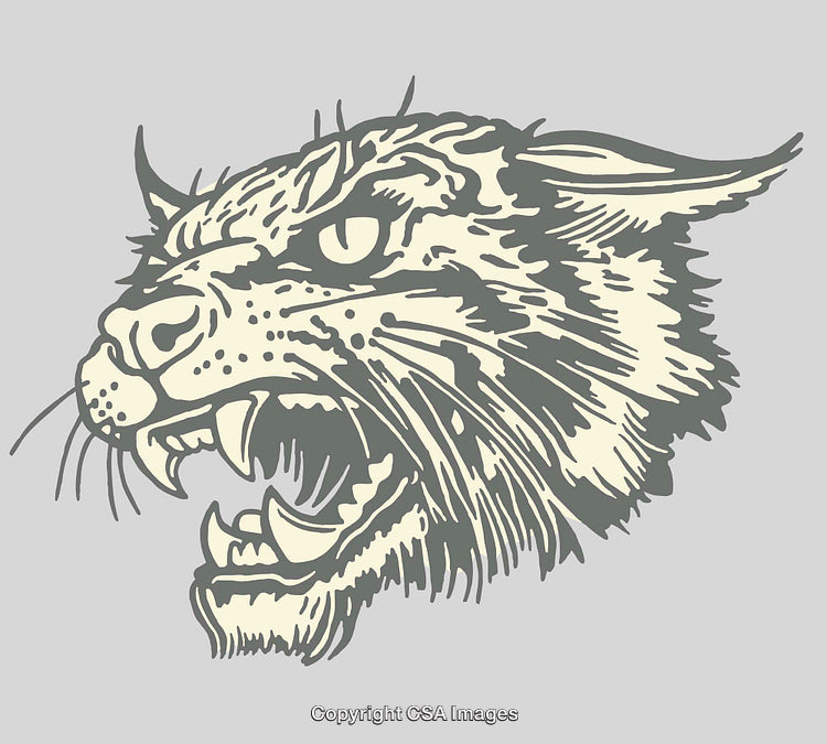 Fierce Wildcat Head in Dynamic Line Art Illustration