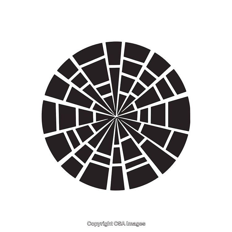 Abstract Circular Black and White Geometric Illustration with Fragmented Design
