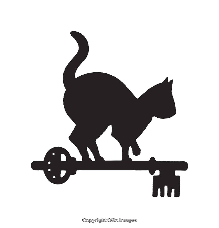 Silhouette of a Cat Sitting on a Key in Black and White Art