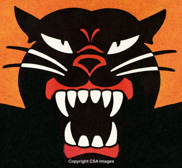 Illustration of a Fierce Black Panther on Orange Background
