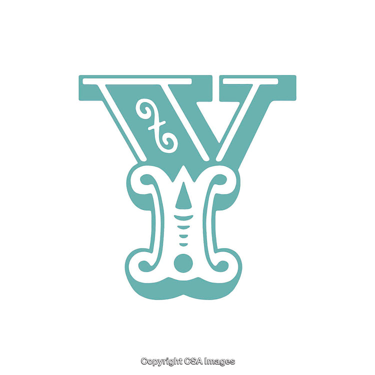 Ornate Letter Y in Decorative Artistic Design