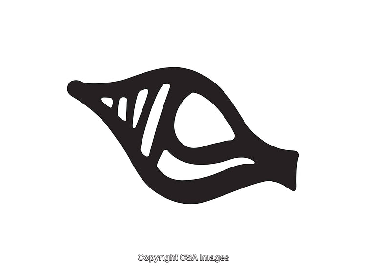 Abstract Black and White Line Art in Organic Curved Design