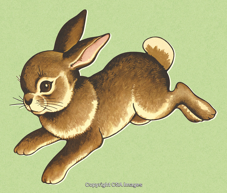 Vintage Illustration of a Running Rabbit on a Green Background