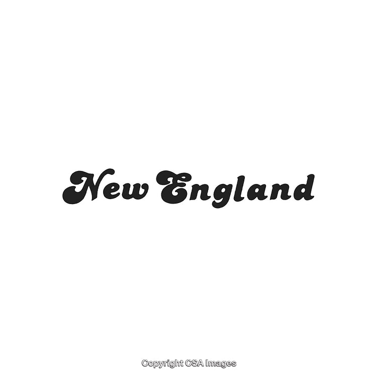 Elegant Script Logo of New England in Classic Black Text